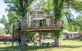 Hawk's Rest