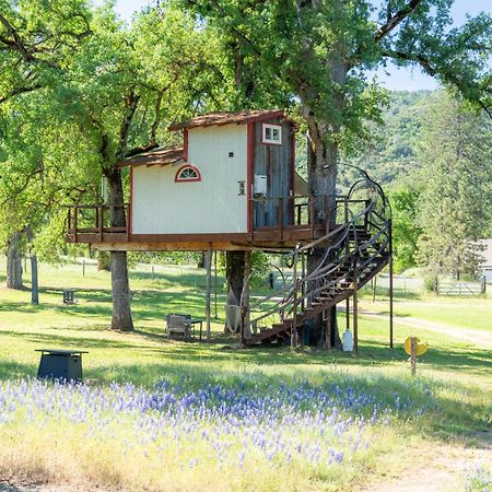 Villa Hawk's Rest Oakhurst Exterior foto