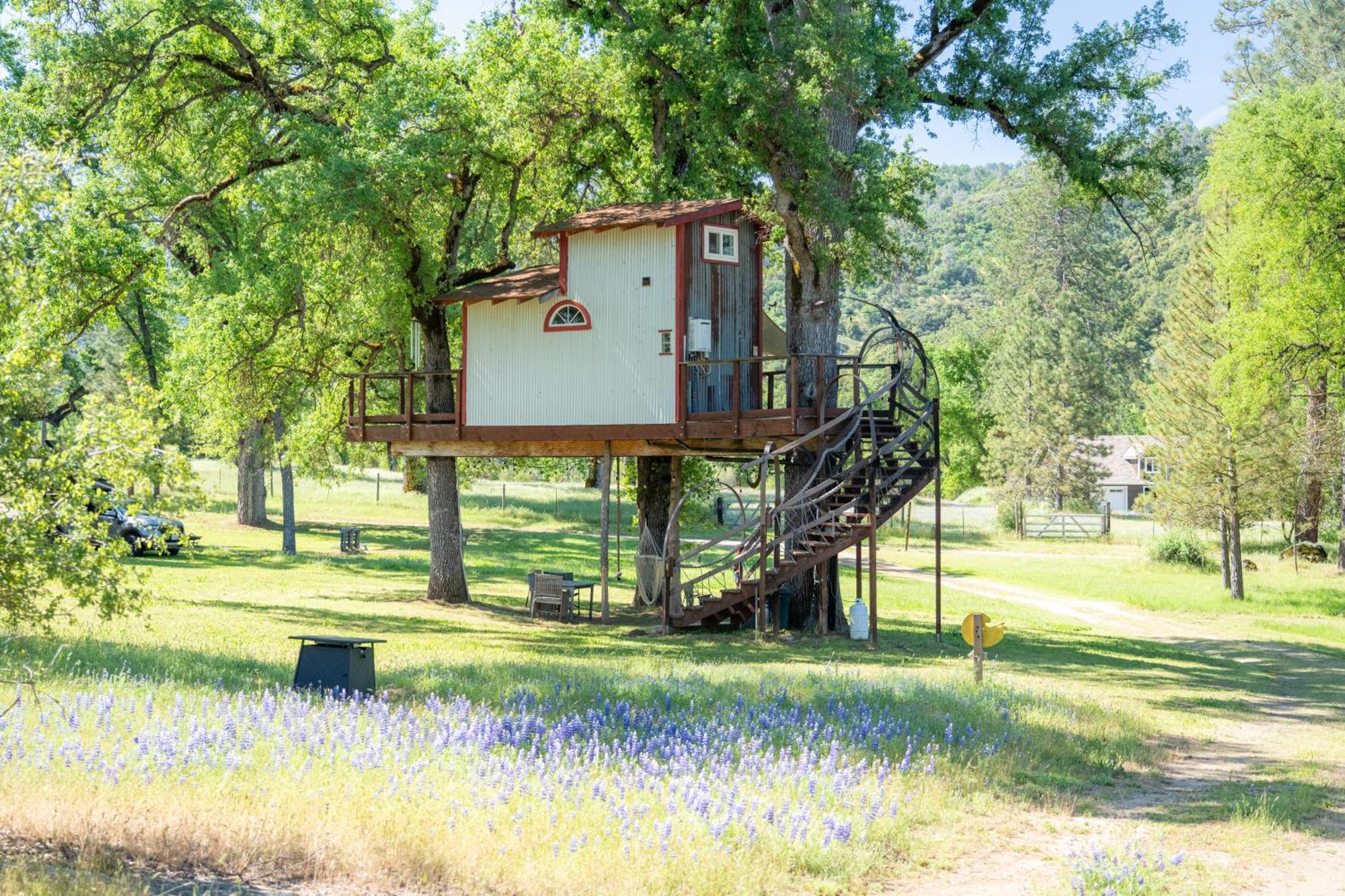 Villa Hawk's Rest Oakhurst Exterior foto