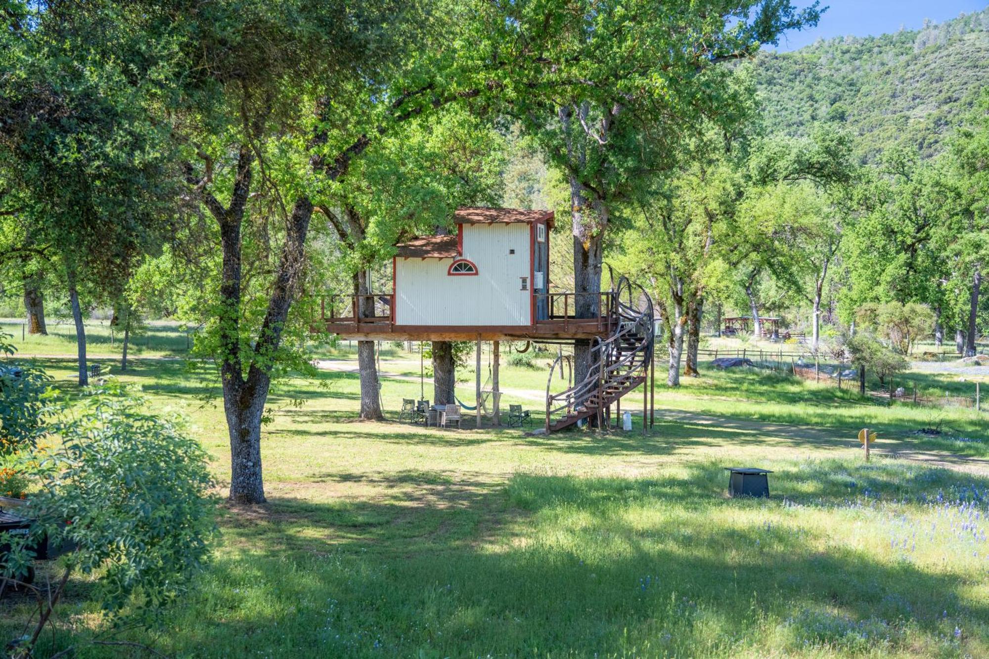 Villa Hawk's Rest Oakhurst Exterior foto